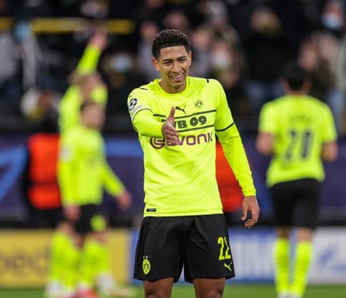 共同撑起了 共同撑起了