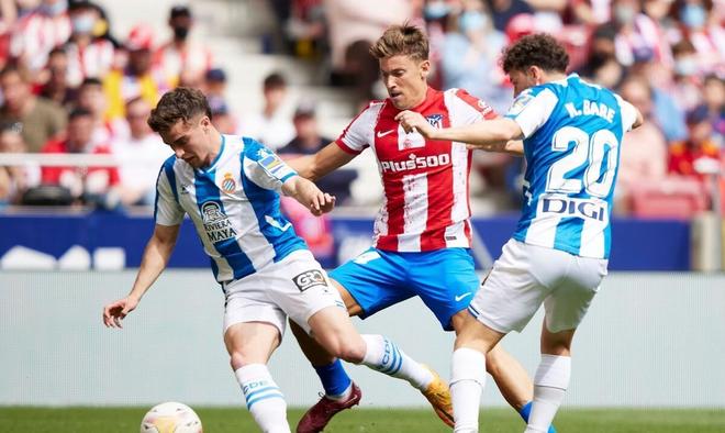 此证明了她 此证明了她